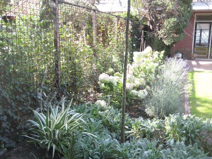 Tuinservice-Van-der-Werf-Tuinrenovatie-borders-beplanting-aanleggen